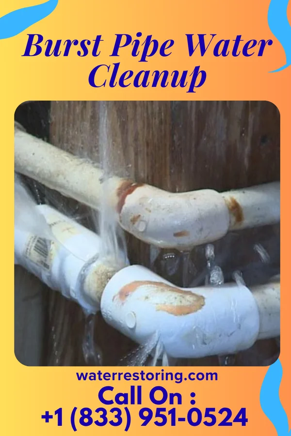Burst Pipe Water Cleanup in Hanover, IN