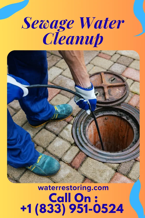 Sewage Water Cleanup in Hanover, IN
