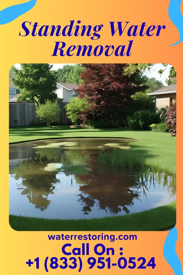 Standing Water Removal in Hanover, IN
